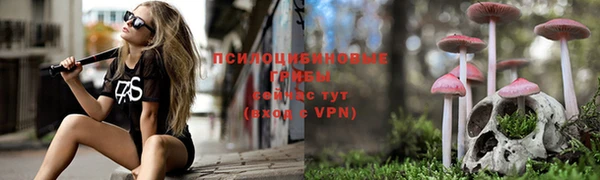 а пвп мука Алзамай
