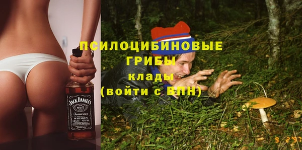 скорость Пересвет