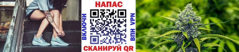 Каннабис планчик Ишим